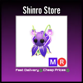 Mr Violet Friend