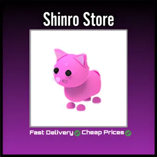 Pink Cat