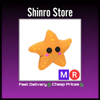 Mr Starfish