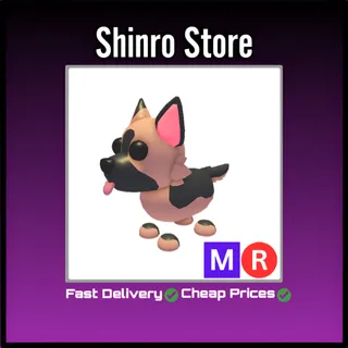 Mr German Shepherd