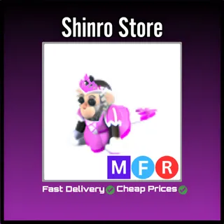 Mfr Princess Capuchin Monkey