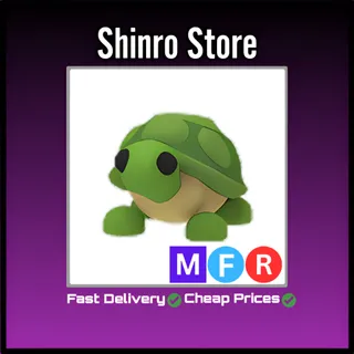 Mfr Turtle