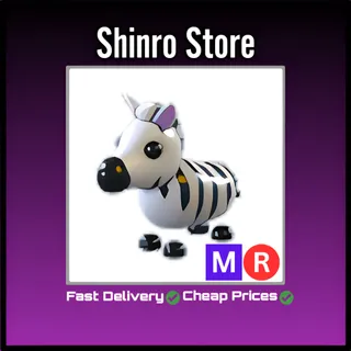 Mr Zebra