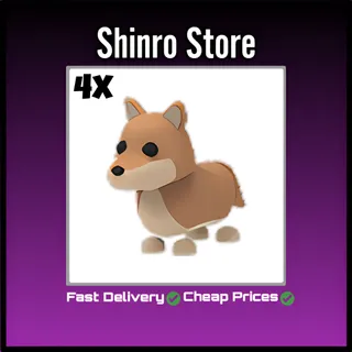 Dingo 4x