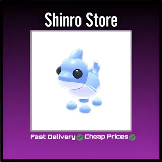 Shark Puppy