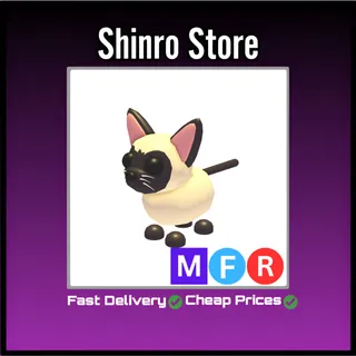 Mfr Siamese Cat