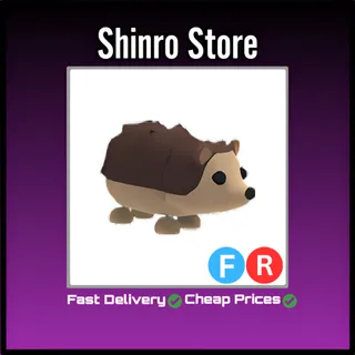 Fr Hedgehog