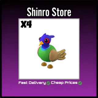 Green-Chested Pheasant x4