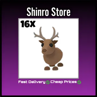 Reindeer 16x