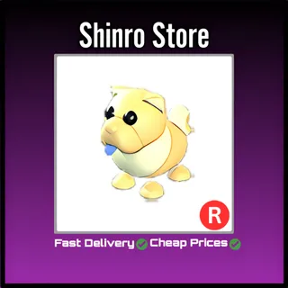 R Golden Chow-Chow