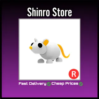 R Golden Rat