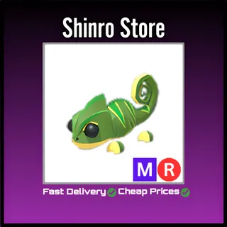Mr Chameleon