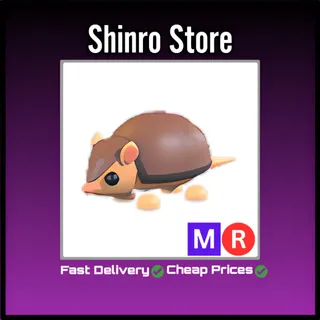 Mr Armadillo