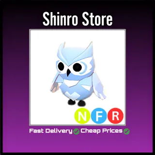 Nfr Snow Owl