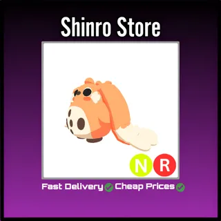 Nr Cabbit