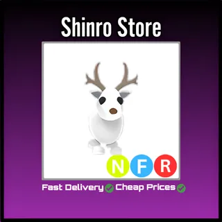 Nfr Arctic Reindeer