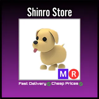 Mr Dog
