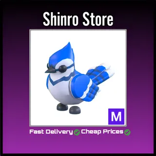 Mega Blue Jay