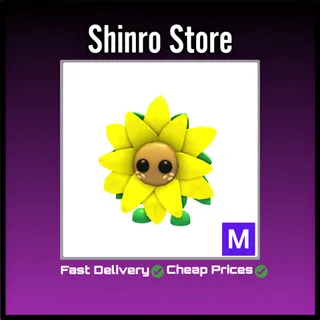 Mega Sunflower Friend