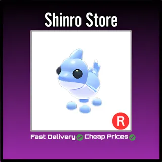 R Shark Puppy