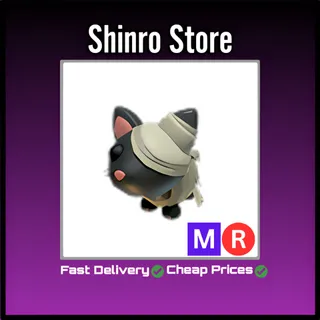 Mr Halloween Black Mummy Cat