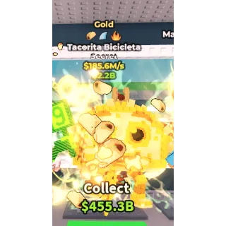  Gold Tacorita Bicicleta  185.6M/s