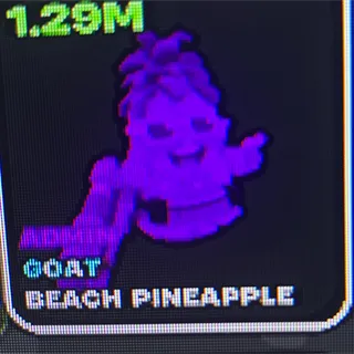 3 1.29 admin pineapples