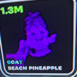 3 1.3 admin pineapples