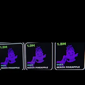 3x 1.3m Admin Pineapple