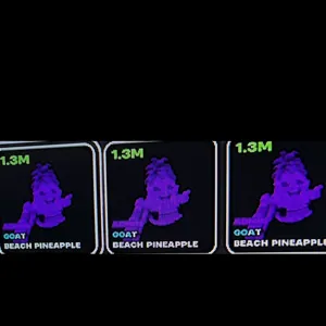 3x 1.3 Admin Pineapples