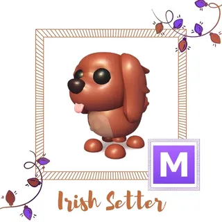 Mega Irish Setter