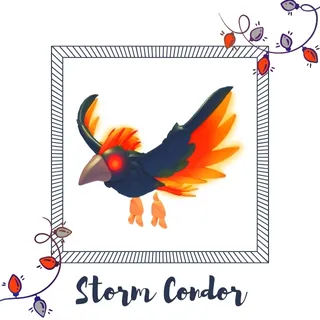 4x Storm Condor