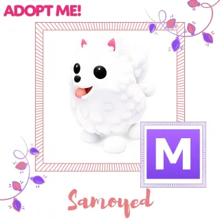 bundle 4 Mega Samoyed