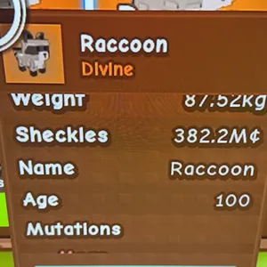 87+ KG MEGA RACCOON
