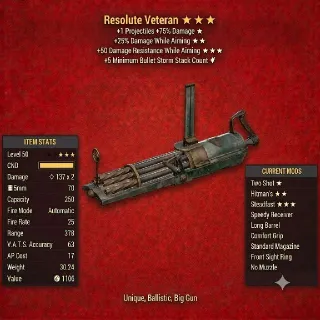 Resolute Veteran