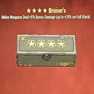 Bruiser Mod