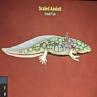 Scaled Axolotl