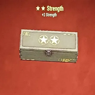 Strength Mod x5