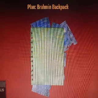 Brahmin Backpack