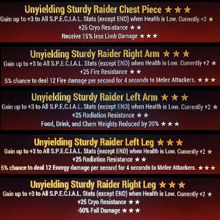 Unyielding Raider Set