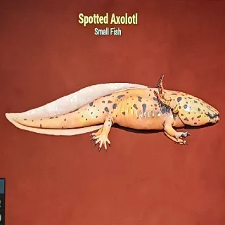 Spotted Axolotl