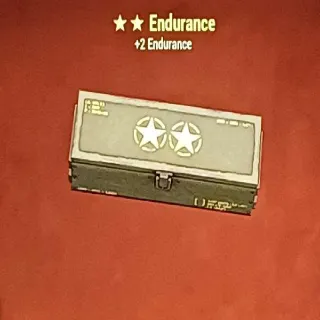 Endurance Mod