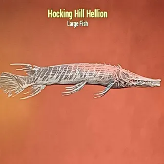 Hocking Hill Hellion