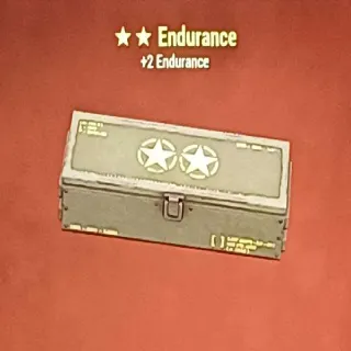 Endurance Mod