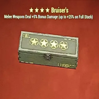 Bruiser Mod x5