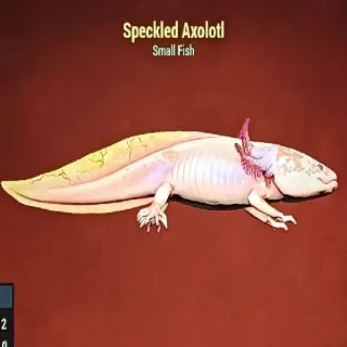 Speckled Axolotl