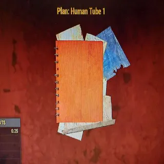 Human Tube1 Plan