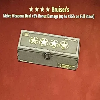 Bruiser Mod