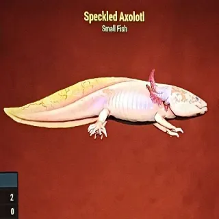 Speckled Axolotl