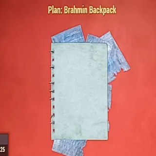 Brahmin Backpack